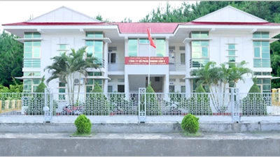 Vimico đã thu hồi 2 triệu cổ phiếu theo quyết định của UBCKNN?