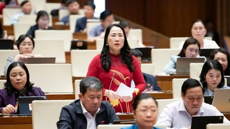 ĐBQH lo lắng về tội phạm công nghệ cao và lừa đảo trên mạng