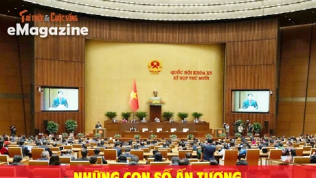 Những con số ấn tượng tại kỳ họp thứ 10, Quốc hội khoá XV
