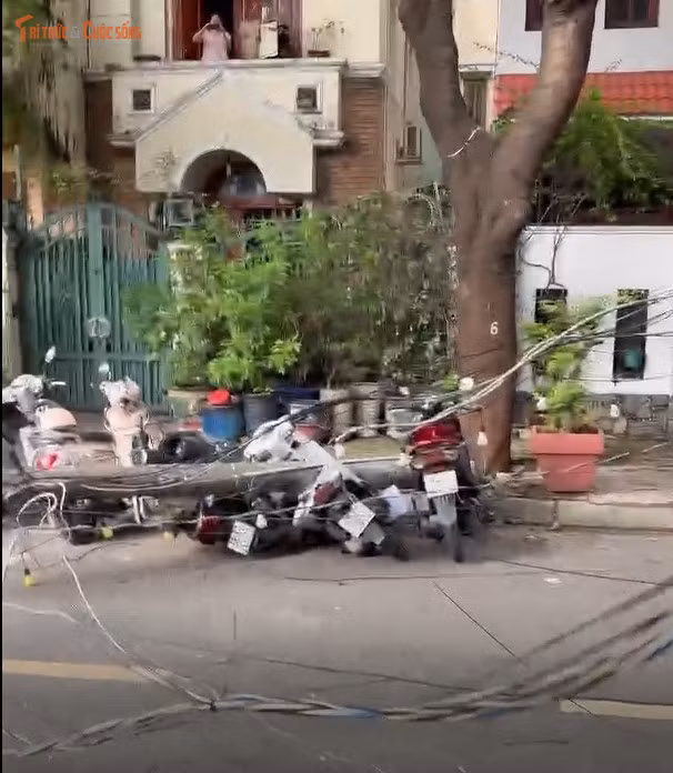 Nhận được tin báo, lực lượng chức năng địa phương có mặt phong tỏa hiện trường, điều tiết giao thông qua khu vực. Nhân viên công ty cây xanh, điện lực có mặt khắc phục sự cố, cắt tỉa cây ngã, dọn dẹp trụ điện.