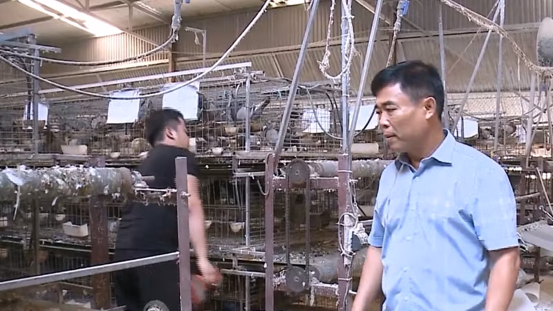 Chuyển đổi số - Động lực thay đổi diện mạo nông nghiệp Bắc Ninh