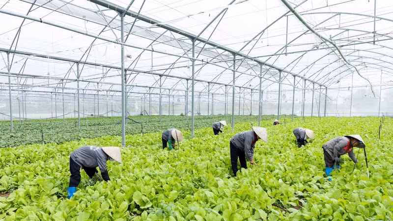 Bắc Ninh mở rộng ứng dụng khoa học, công nghệ trong sản xuất
