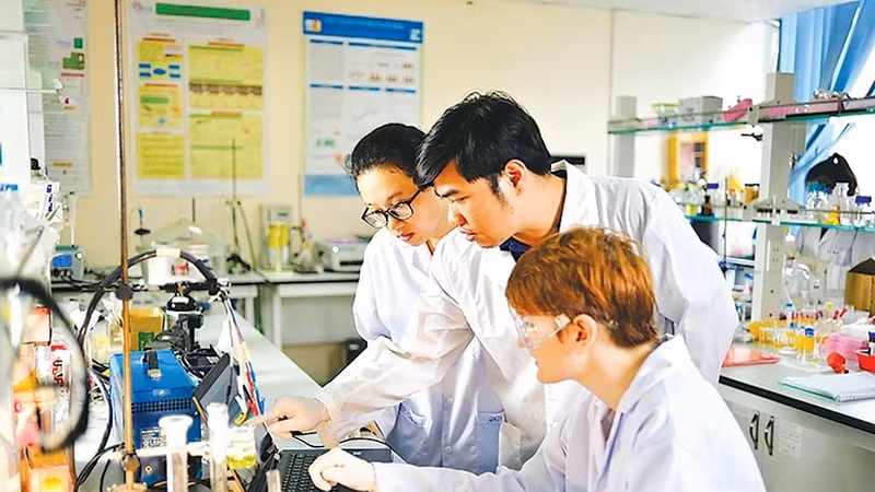 Sửa đổi, bổ sung quy định xử lý kỷ luật cán bộ vi phạm nhưng vì lợi ích chung