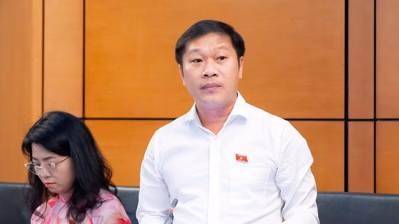 Đại biểu Nguyễn Khánh Vũ