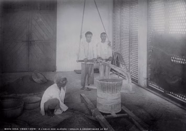Một nhóm bệnh nhân thực hiện công việc xay lúa.