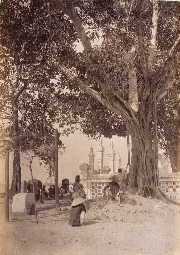 Người dân nghỉ ngơi dưới tán cây cổ thụ cạnh cổng đền, thập niên 1890.