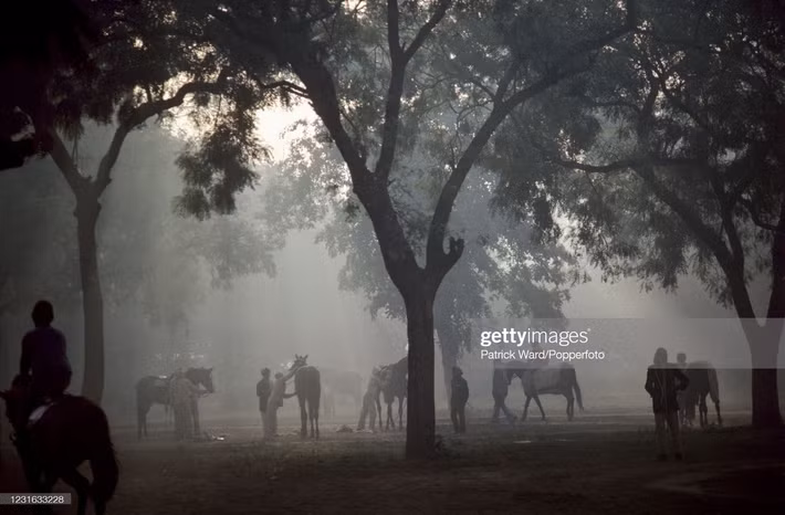 Buổi sáng sớm tại một câu lạc bộ polo ở thủ đô Delhi.