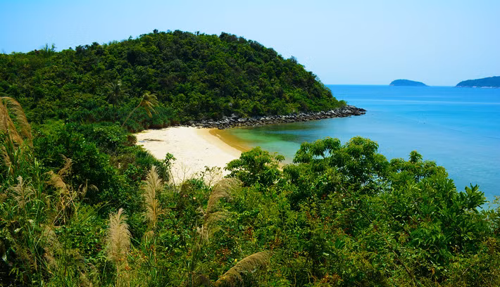 Một bãi biển hoang sơ được bao quanh bởi rừng rậm.