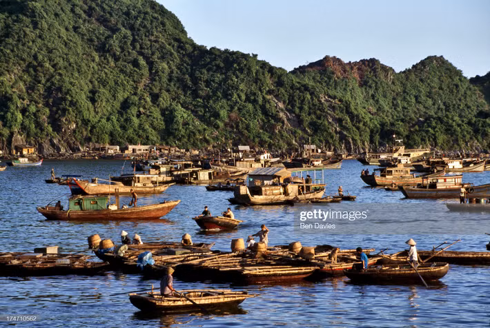Các loại thuyền lớn nhỏ quần tụ ở vịnh Cát Bà, Hải Phòng, Việt Nam năm 1998. Ảnh: Ben Davies.