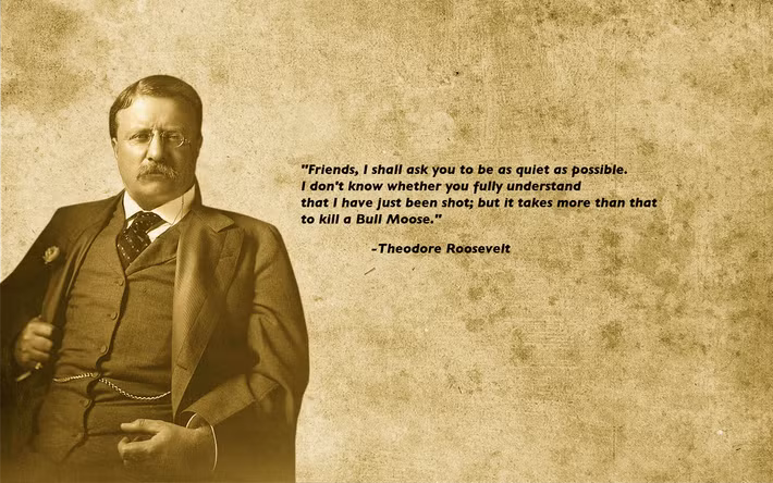 Di sản: Roosevelt là người thúc đẩy chính sách "Square Deal" với trọng tâm là bảo vệ người lao động và bảo tồn tài nguyên thiên nhiên. Ông cũng là người mở rộng sức mạnh của Tổng thống trong chính sách đối ngoại, đặc biệt là việc xây dựng kênh đào Panama. Ảnh: Pinterest.