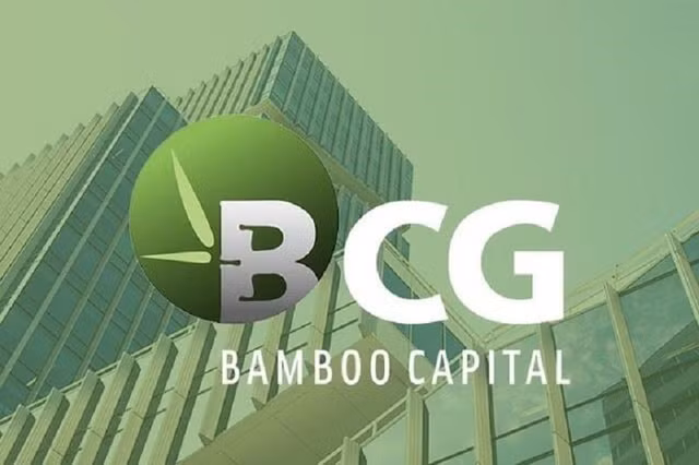 bamboo-capital-doi-mat-lo-hon-8000-ty-bien-dong-nhan-su-lien-tuc-ke-hoach-tai-cau-truc-lieu-co-du-manh-de-phuc-hoi-1765160924.jpg