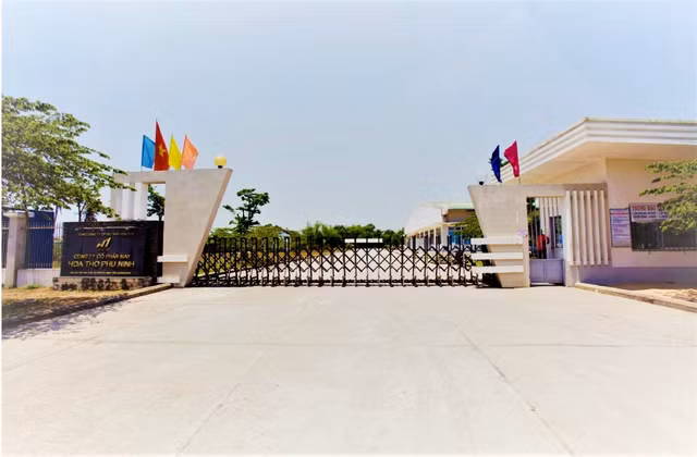 may-hoa-tho-phu-ninh20251110154552.jpg