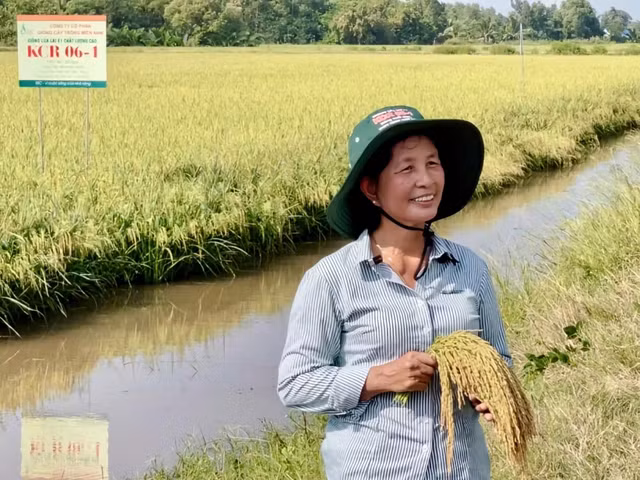 bach-thi-vung.jpg