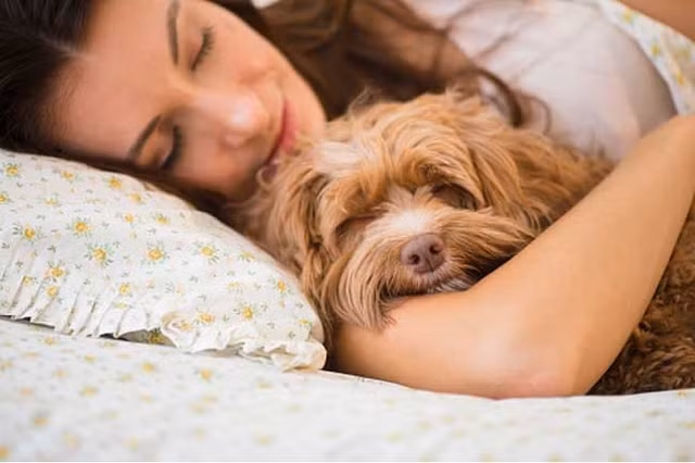 Ăn tối sớm sẽ mang lại cho bạn 7 lợi ích sức khỏe này An toi som se mang lai cho ban 7 loi ich suc khoe nay
