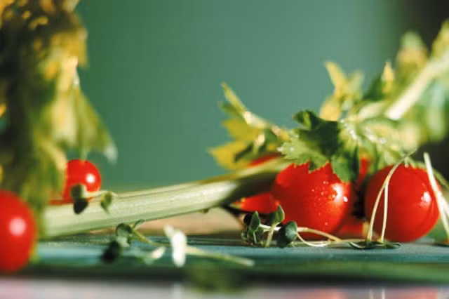 Salad rau tươi mang lại rất nhiều lợi ích sức khỏe - Hình 5 Salad rau tuoi mang lai rat nhieu loi ich suc khoe-Hinh-5
