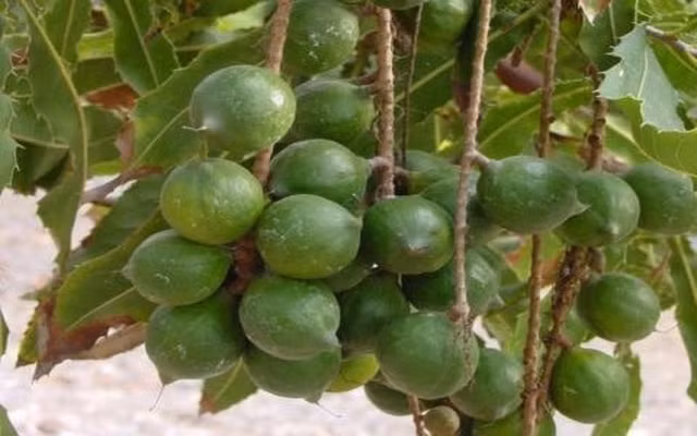 Phụ nữ cần ăn ngay 8 loại thực phẩm này để tốt cho sức khỏe - Hình 3 Phu nu can an ngay 8 loai thuc pham nay de tot cho suc khoe-Hinh-3