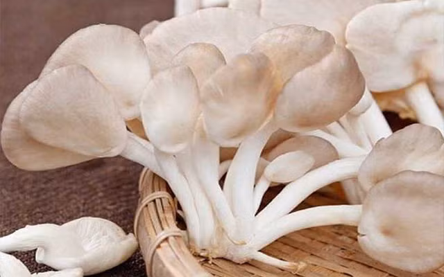 Lưu ý 4 loại rau quen thuộc chứa rất nhiều ký sinh trùng - Hình 5 Luu y 4 loai rau quen thuoc chua rat nhieu ky sinh trung-Hinh-5