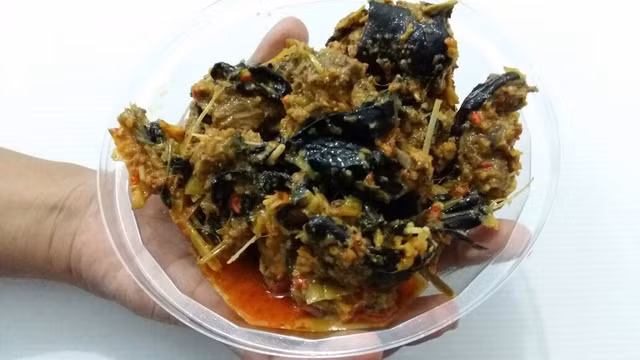Thực khách xanh mặt vì dơi hầm nước cốt dừa của Indonesia - Hình 2 Thuc khach xanh mat vi doi ham nuoc cot dua cua Indonesia-Hinh-2