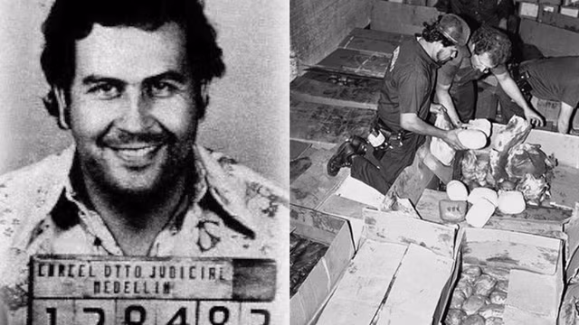 "Ông hoàng cocaine" Pablo Escobar và các bí mật kinh hoàng - Hình 7 Với việc tạo ra đế chế ma túy lớn mạnh, Escobar trở thành một trong những trùm ma tuý giàu nhất trong lịch sử. Theo ước tính, số tiền mà Pablo Escobar kiếm được từ buôn bán cocain cho tới khi chết lên tới 30 tỷ USD.