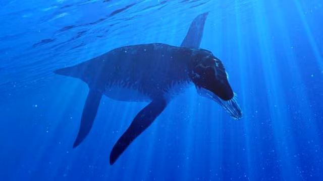 Theo giáo sư Martin Sander, Ichthyosaurs có thể đã ăn các chủng ichthyosaurs nhỏ hơn và loài mực khổng lồ.