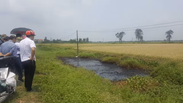 Nông dân nhập viện sau khi lội qua chất lỏng lạ đen xì ở ruộng - Hình 2 Nong dan nhap vien sau khi loi qua chat long la den xi o ruong-Hinh-2