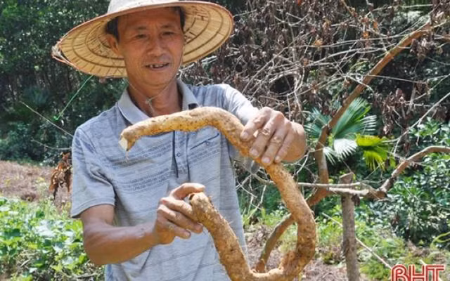 Cu mai day cho Viet nhung gia gap doi o nuoc ngoai-Hinh-5