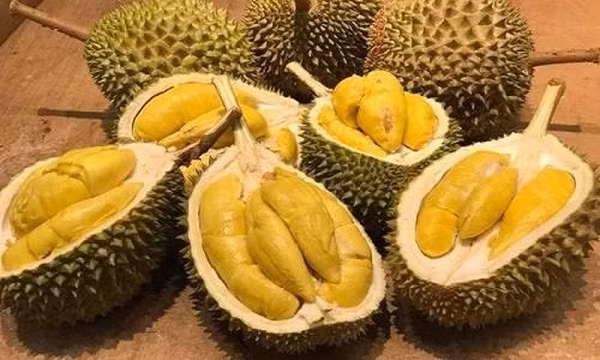 Không phải ai cũng ăn được sầu riêng, đặc biệt những người này càng không nên ăn - Hình 3 Khong phai ai cung an duoc sau rieng, dac biet nhung nguoi nay cang khong nen an-Hinh-3