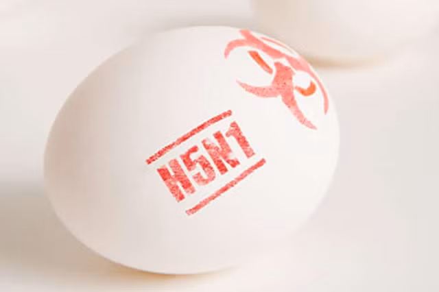 Nhận diện các loại bệnh cúm để điều trị hiệu quả - Hình 3 Nhan dien cac loai benh cum de dieu tri hieu qua-Hinh-3