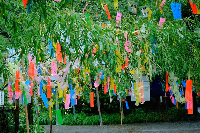 Nhung net van hoa doc dao thu vi ve ngay le That Tich o cac nuoc phuong Dong-Hinh-6