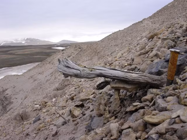 He lo bi an Greenland sau khi tim thay ADN co nhat the gioi-Hinh-3