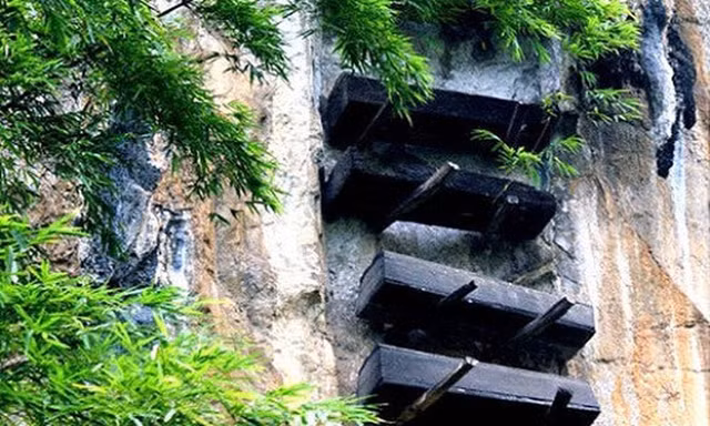 La lung nhung quan tai lo lung tren vach da-Hinh-6