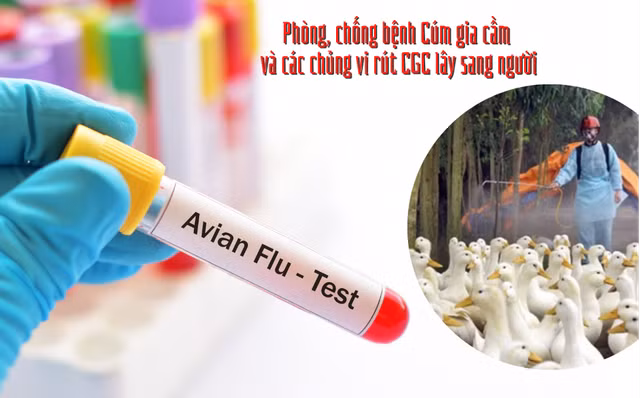 Vien Pasteur TP HCM trien khai gap bien phap phong cum H5N1-Hinh-2