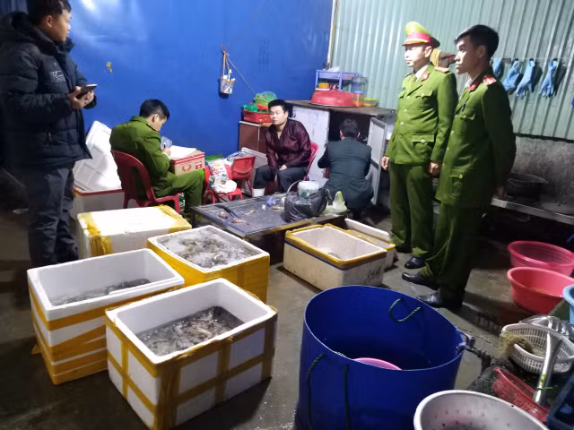 Công an Hải Phòng thông tin vụ bơm tạp chất vào tôm Cong an Hai Phong thong tin vu bom tap chat vao tom