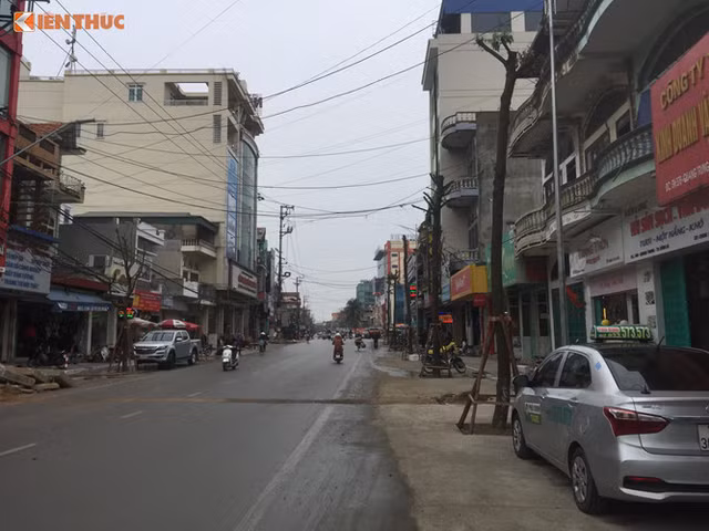 Cây trồng dưới lòng đường ở Uông Bí: Xe liên tục sập "bẫy" Cay trong duoi long duong o Uong Bi: Xe lien tuc sap