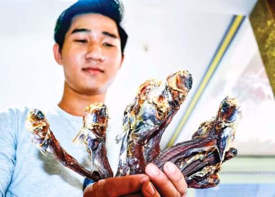 Khám phá món cá ngon lạ có hình dáng kỳ dị ở Cà Mau - Hình 7 Kham pha mon ca ngon la co hinh dang ky di o Ca Mau-Hinh-7