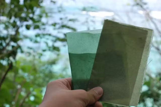 Loạt thìa đĩa, ống hút có thể ăn được... gây tò mò - Hình 11 Loat thia dia, ong hut co the an duoc... gay to mo-Hinh-11