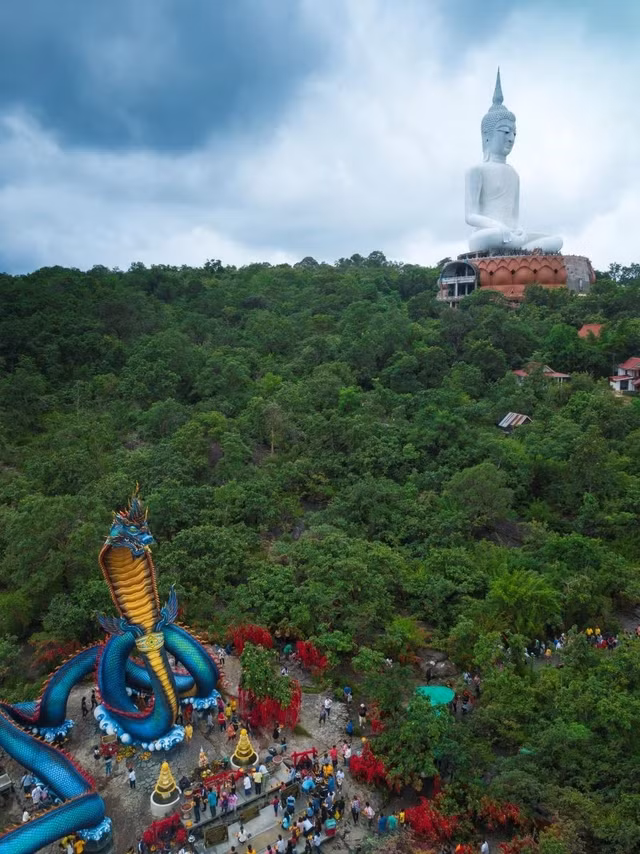 Nhung dong vat duoc con nguoi ton tho nhat the gioi-Hinh-8