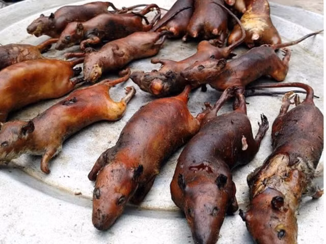 9 món ăn kinh dị của châu Phi nhìn đã thấy sợ - Hình 11 9 mon an kinh di cua chau Phi nhin da thay so-Hinh-11