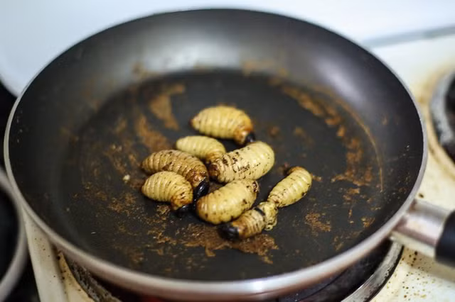 9 món ăn kinh dị của châu Phi nhìn đã thấy sợ - Hình 4 9 mon an kinh di cua chau Phi nhin da thay so-Hinh-4