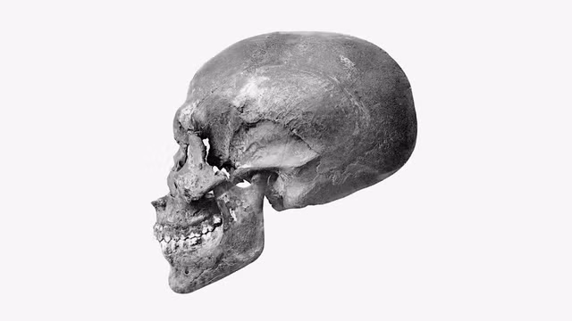 Bi an xac uop nghi la cha cua pharaoh noi tieng Ai Cap-Hinh-8