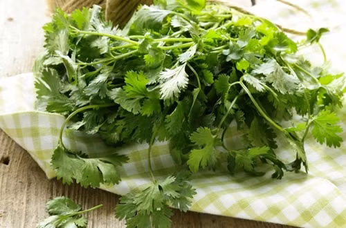 Vì sao đàn ông không nên ăn nhiều rau mùi? - Hình 2 Vi sao dan ong khong nen an nhieu rau mui?-Hinh-2
