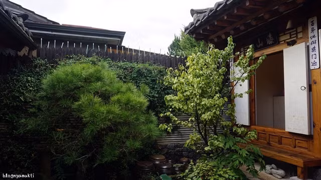 Nằm giữa thủ đô Seoul sầm uất, làng Bukchon Hanok 600 tuổi hấp dẫn du khách - Hình 7 Nam giua thu do Seoul sam uat, lang Bukchon Hanok 600 tuoi hap dan du khach-Hinh-7