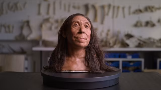 Guong mat cua mot phu nu Neanderthal song cach day 75.000 nam-Hinh-5