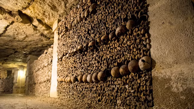 Rừng Hoia Baciu, nhà thờ Sedlec Ossuary… là những điểm đến rùng rợn - Hình 7 Rung Hoia Baciu, nha tho Sedlec Ossuary… la nhung diem den rung ron-Hinh-7
