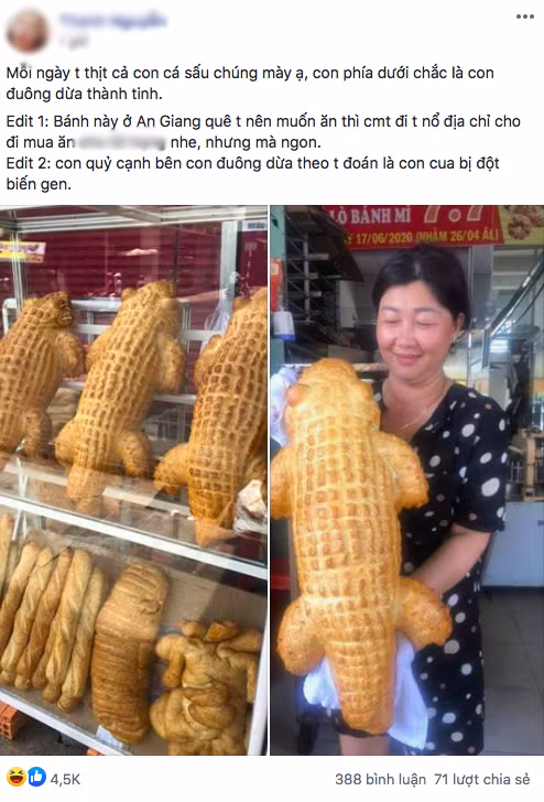 Bánh mì cá sấu khổng lồ có gì đặc biệt mà gây sốt mạng xã hội? Banh mi ca sau khong lo co gi dac biet ma gay sot mang xa hoi?