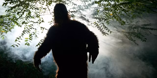 Vi sao kho bat duoc quai vat bi an nhat the gioi Bigfoot?