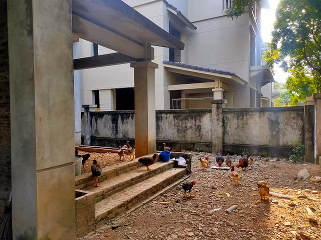 Những căn biệt thự vắng bóng người ở khu đô thị Sunny Garden City - Hình 15 Nhung can biet thu vang bong nguoi o khu do thi Sunny Garden City-Hinh-15