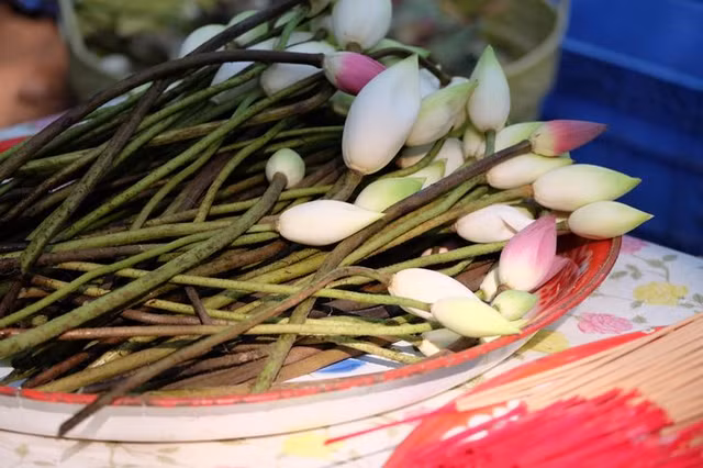 Những điều nên và không nên làm với phụ nữ mang thai ở các nước - Hình 14 Nhung dieu nen va khong nen lam voi phu nu mang thai o cac nuoc-Hinh-14