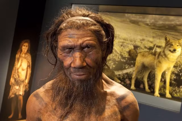 Nguoi Neanderthal tuong tac, giao phoi voi nguoi hien dai?-Hinh-5