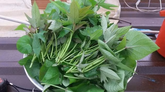 3 mon an re tien bo huyet duong khi, giai doc duong gan van nguoi me-Hinh-4